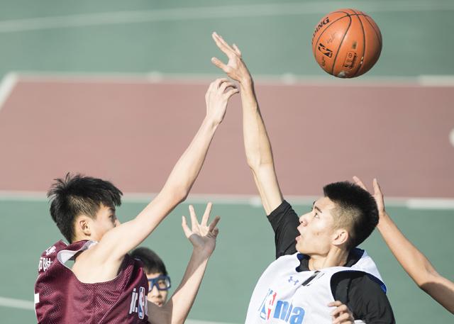 色悠悠网页