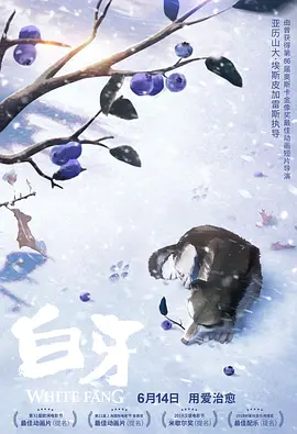 2019国内自拍大神视频