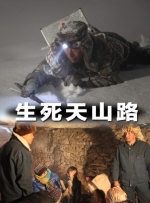 李丽珍唯一一部打真军电影