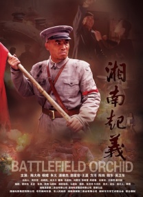 亚洲高清在线看