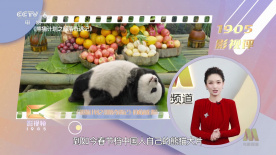 视频一区二区三区 在线